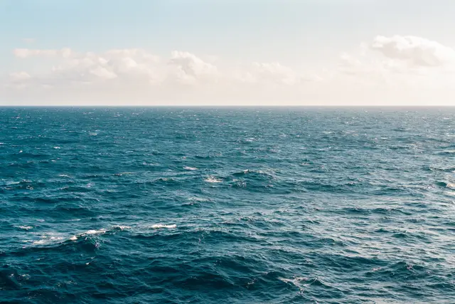Pexels of sea.jpg